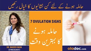 7 Signs Of Ovulation  Hamal Thehrane Ka Waqt  Fertile Days To Pregnant  Best Time For Pregnancy [upl. by Kciredor819]