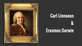 Carl Linnaeus and Erasmus Darwin [upl. by Mroz]