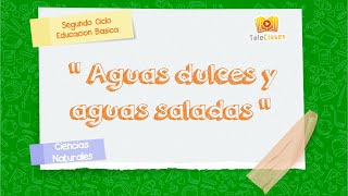 5º BÁSICOCIENCIAS NATURALES  Aguas dulces y aguas saladas [upl. by Dlareme690]