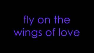 DJ Sammy Fly On The Wings Of Love WITH LYRICS [upl. by Akenahs259]