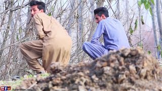 Buner Vines New Video 2019Govt Tex Of Pakistan [upl. by Bonni]