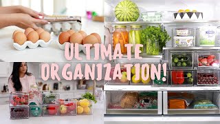 ULTIMATE Fridge Organization IN 5 Easy Steps MissLizHeart [upl. by Ayamahs]