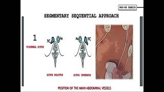 Situs inversus Medical Condition [upl. by Polly]