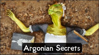 Skyrim 5 Things They Never Told You About Argonians [upl. by Calle]