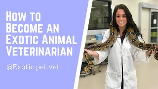 How to Become an Exotic Animal Veterinarian [upl. by Vas]