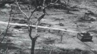 US Marines Intense Combat Footage Battle of Peleliu and Ngesebus Island WW2 w Sound [upl. by Aneehs265]