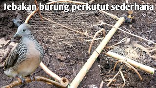 Cara membuat jebakan burung perkutut sederhana [upl. by Enitsrik]