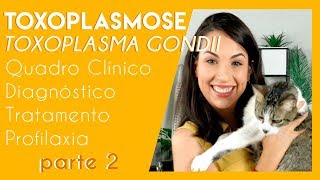 Toxoplasmose toxoplasma gondii  Parte 2  PARASITOLOGIA 4 [upl. by Forkey]