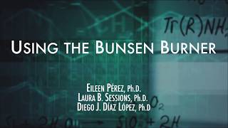 Using the Bunsen Burner [upl. by Melleta]