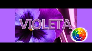 Como saco el Color Morado o Violeta [upl. by Aihtnys]