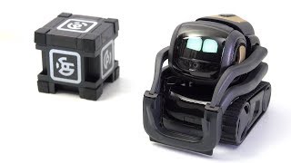 Anki Vector Home Robot REVIEW [upl. by Nemra]