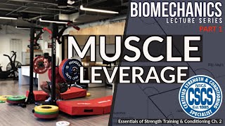 Biomechanics and Muscle Leverage  CSCS Chapter 2 [upl. by Haymo631]