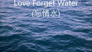 忘情水 Love Forget Water  劉德華 Andy Lau  English lyrics [upl. by Wennerholn895]