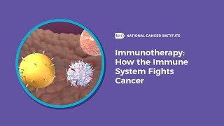 Immunotherapy How the Immune System Fights Cancer [upl. by Auston]