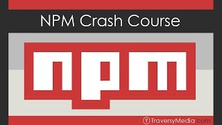 NPM Crash Course [upl. by Aleehs]