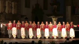 Kurdish Folk dance from Kurdistan Rojava Syria HD [upl. by Artcele]