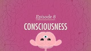 Consciousness Crash Course Psychology 8 [upl. by Maxa15]