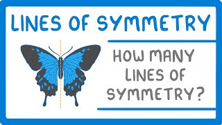 GCSE Maths  Lines of Symmetry 98 [upl. by Urbain421]