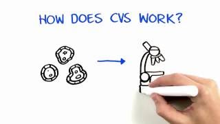 Chorionic Villus Sampling CVS [upl. by Akirea]