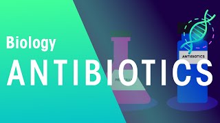 Antibiotics  Health  Biology  FuseSchool [upl. by Adnolohs]