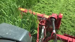 Del Morino flail mower [upl. by Christabel]