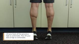 Standing Heel and Toe Raises  Physical Therapy Exercise [upl. by Kassaraba955]