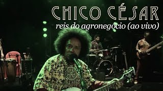 Chico César  Reis do Agronegócio Ao Vivo [upl. by Nylodam]