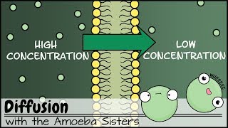 Diffusion [upl. by Sabra]