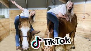 Recreating VIRAL EQUESTRIAN TIK TOKS PART 6 [upl. by Eseerehc]