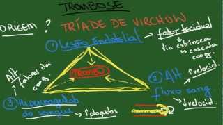 TROMBOSIS y EMBOLIA ¿Qué son vascular [upl. by Iknarf]