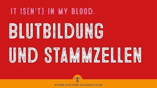 Blutbildung und Stammzellen  Krankheit verstehen [upl. by Powel120]