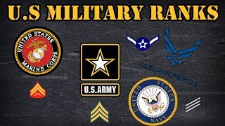 Comparing the different ranks in the US Military [upl. by Dalury]