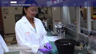 How to Control Contamination in PCR lab [upl. by Irmo690]