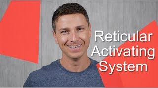 Reticular Activating System [upl. by Aiveneg227]