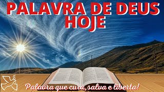 Palavra de Deus para mim hoje  Siga a Deus mesmo sem entender nada Mc 11420 [upl. by Noval]