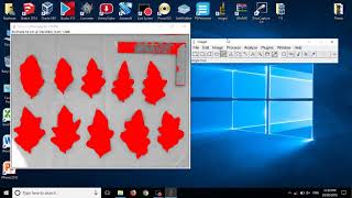 How to measure leaf area in ImageJ program [upl. by Nilrem]