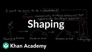 Operant conditioning Shaping  Behavior  MCAT  Khan Academy [upl. by Stetson557]