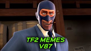 TF2 MEMES V87 [upl. by Joye946]