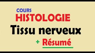 cours HISTOLOGIE Ep4  Tissu nerveux  Résumer [upl. by Limber]