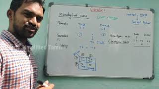 Monohybrid cross  Genetics  Quick notes  Senthilnathan  Tamil [upl. by Georges]