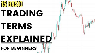 Trading Terms Explained Trading Terms for Beginners [upl. by Rabjohn]