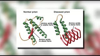 GCSE Biology  Communicable Disease 34 [upl. by Annelise]