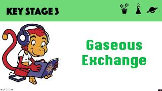 Gaseous Exchange [upl. by Malik]