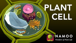 Biology with NAMOO Plant Cell Structure [upl. by Sadonia489]