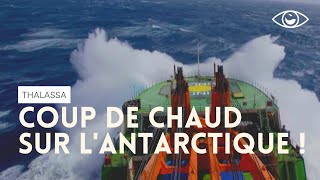 Coup de chaud sur lAntarctique  Thalassa [upl. by Ardnait]