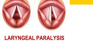 Laryngeal Paralysis [upl. by Landers]