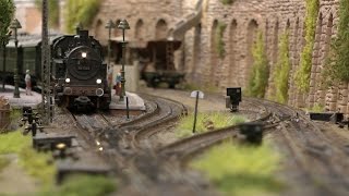 Beautiful Dutch Model Train Layout in HO Gauge with Field Railway [upl. by Solnit812]