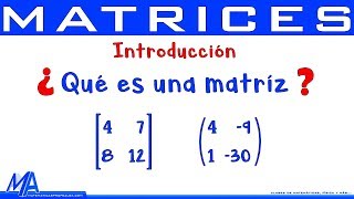 Matrices Introducción  Conceptos básicos [upl. by Denten351]