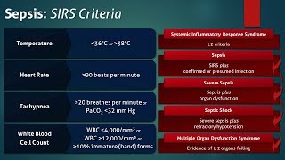 Sepsis Systemic Inflammatory Response Syndrome SIRS Criteria [upl. by Notirb369]