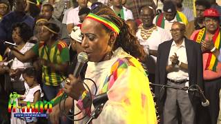 Maritu Legese  Wegene  ወገኔ  Ethiopian Day Festival Minnesota [upl. by Eirok179]